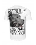 Koszulka Pitbull Origin white