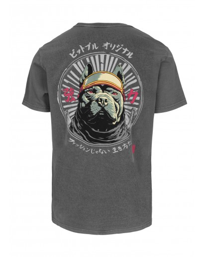 Koszulka Pitbull Mt Fuji Washed 190 grey