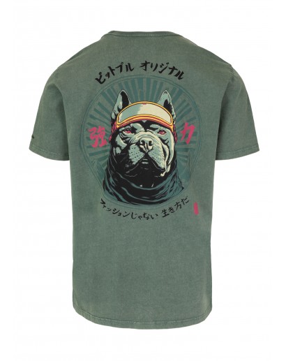Koszulka Pitbull Mt Fuji Washed 190 sage green