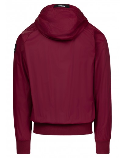 Kurtka wiosenna Pitbull...